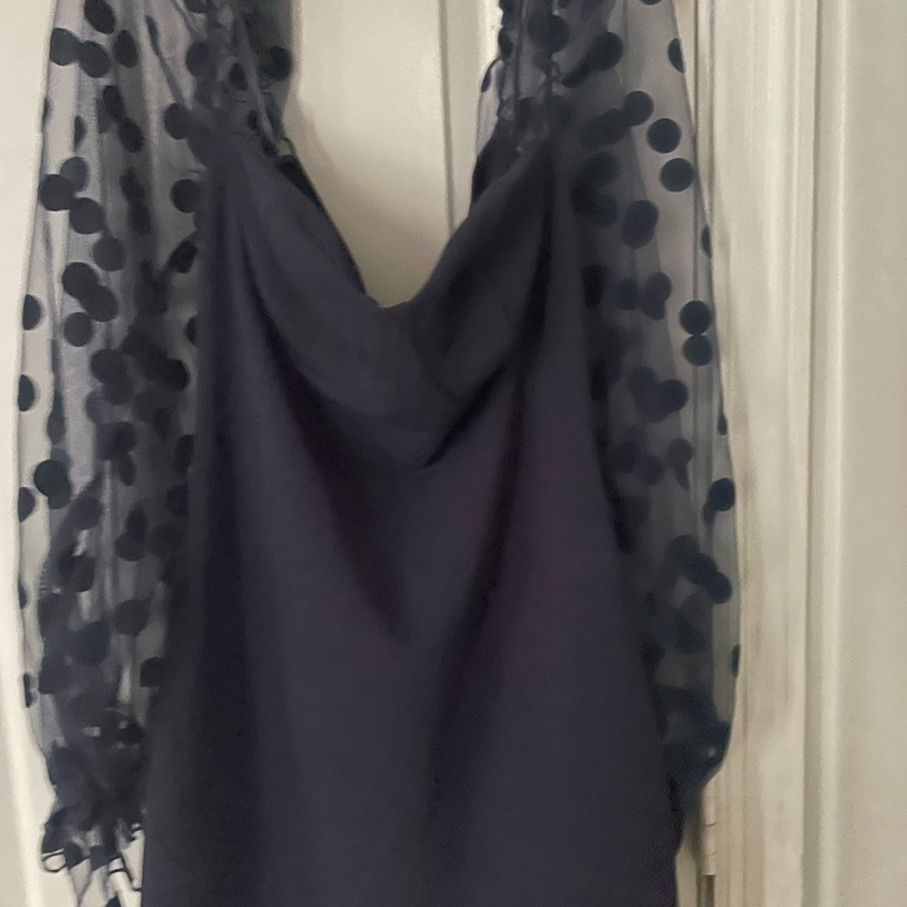 Sheer Polka Dot Sleeve Top